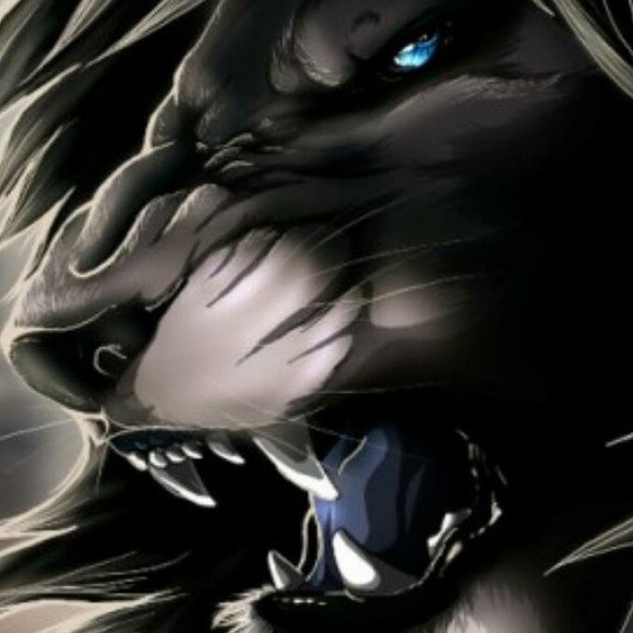 Meet your Posher, Christopher - Picture 1 of 1